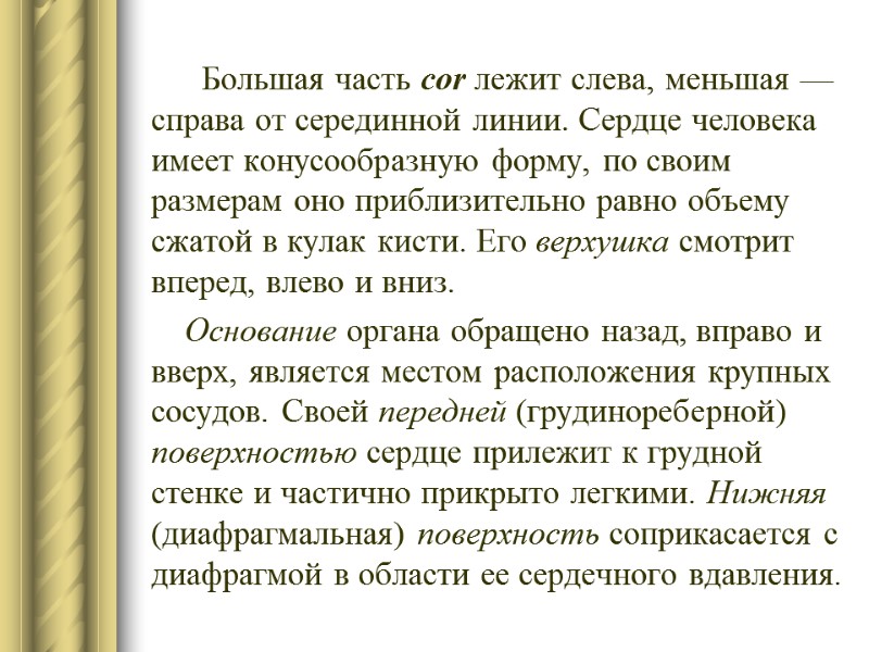 Большая часть cor ле­жит слева, меньшая — справа от серединной линии. Сердце чело­века имеет